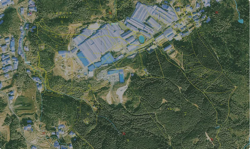 会社概要・沿革