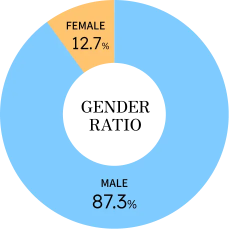 Gender ratio - Male 87.3%, Female 12.7%